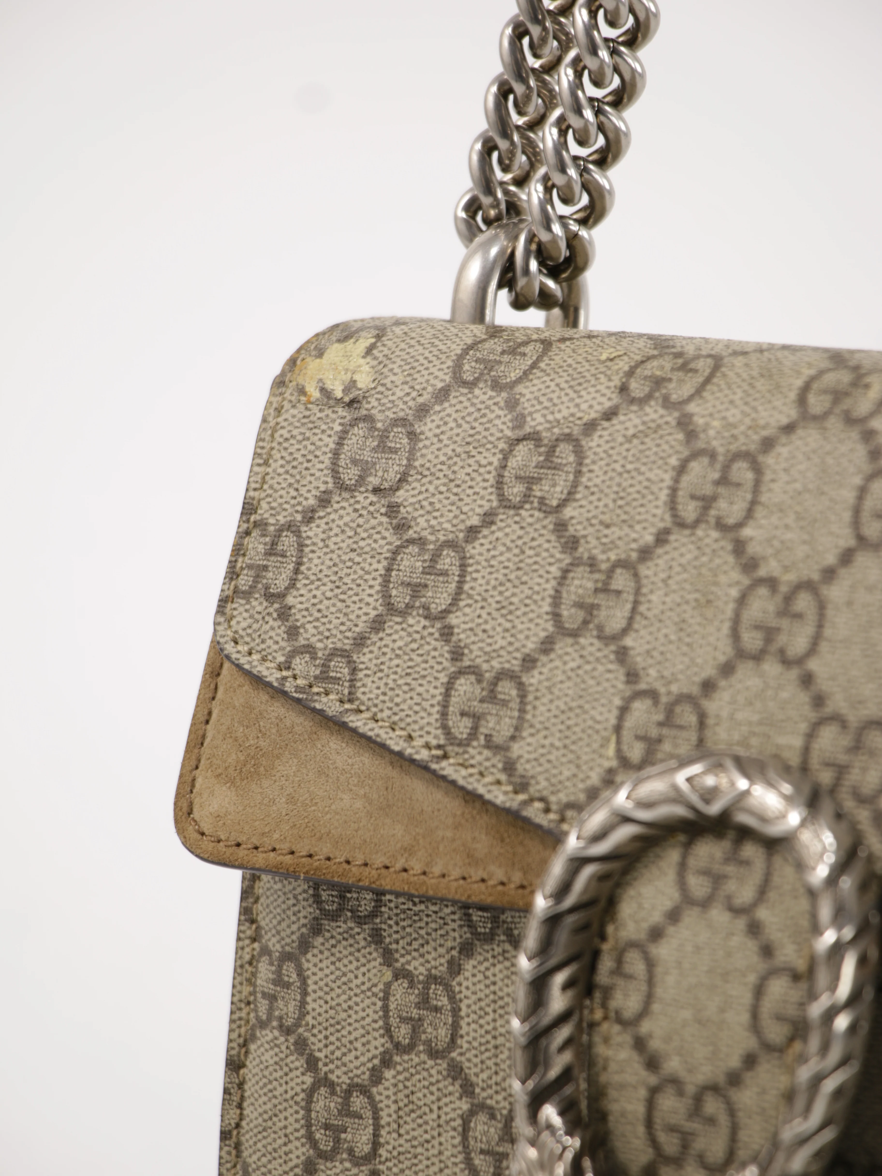 Dionysus Mini GG - Image 7