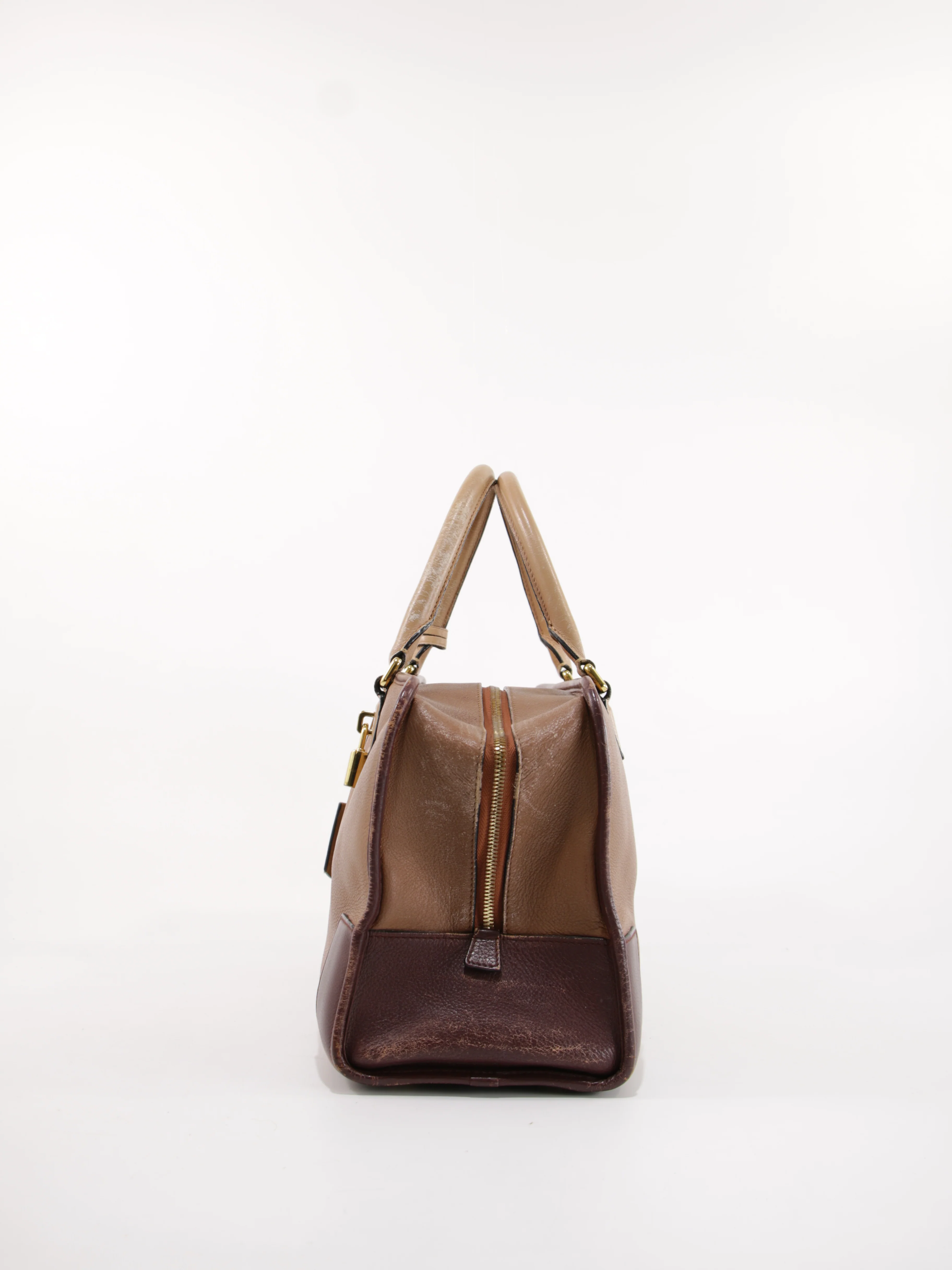 Amazona 36 - Image 3