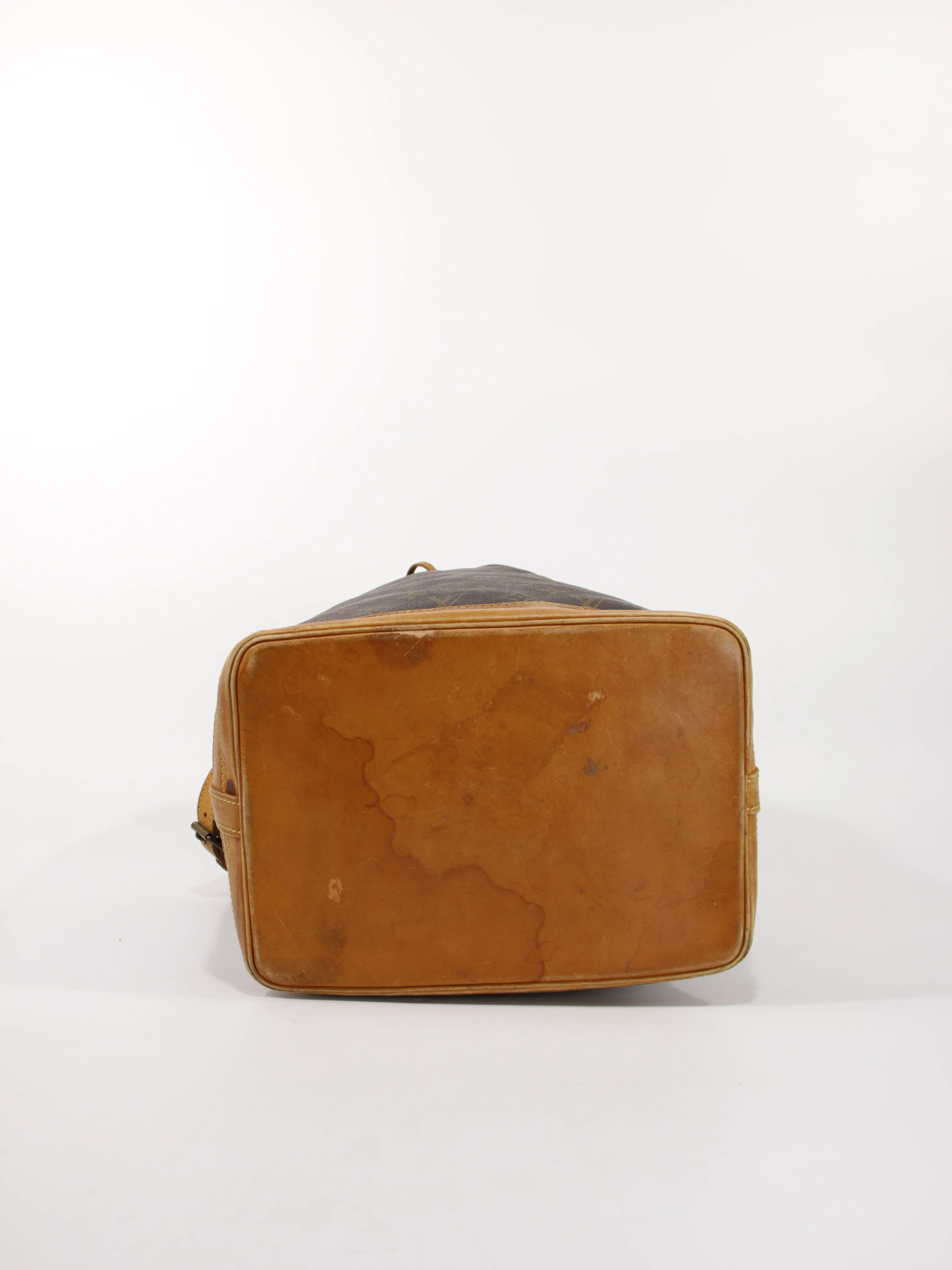 Noé - Image 8