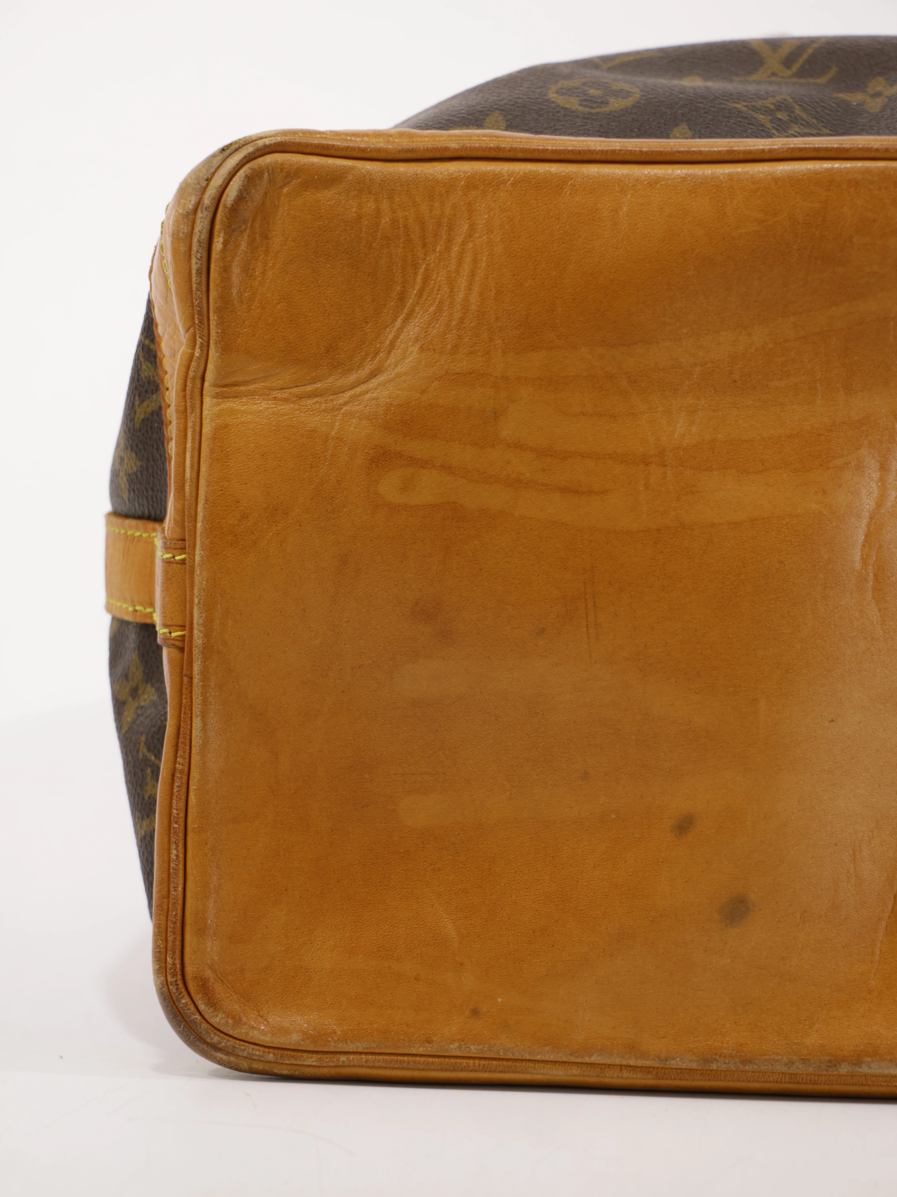 Noé - Image 10