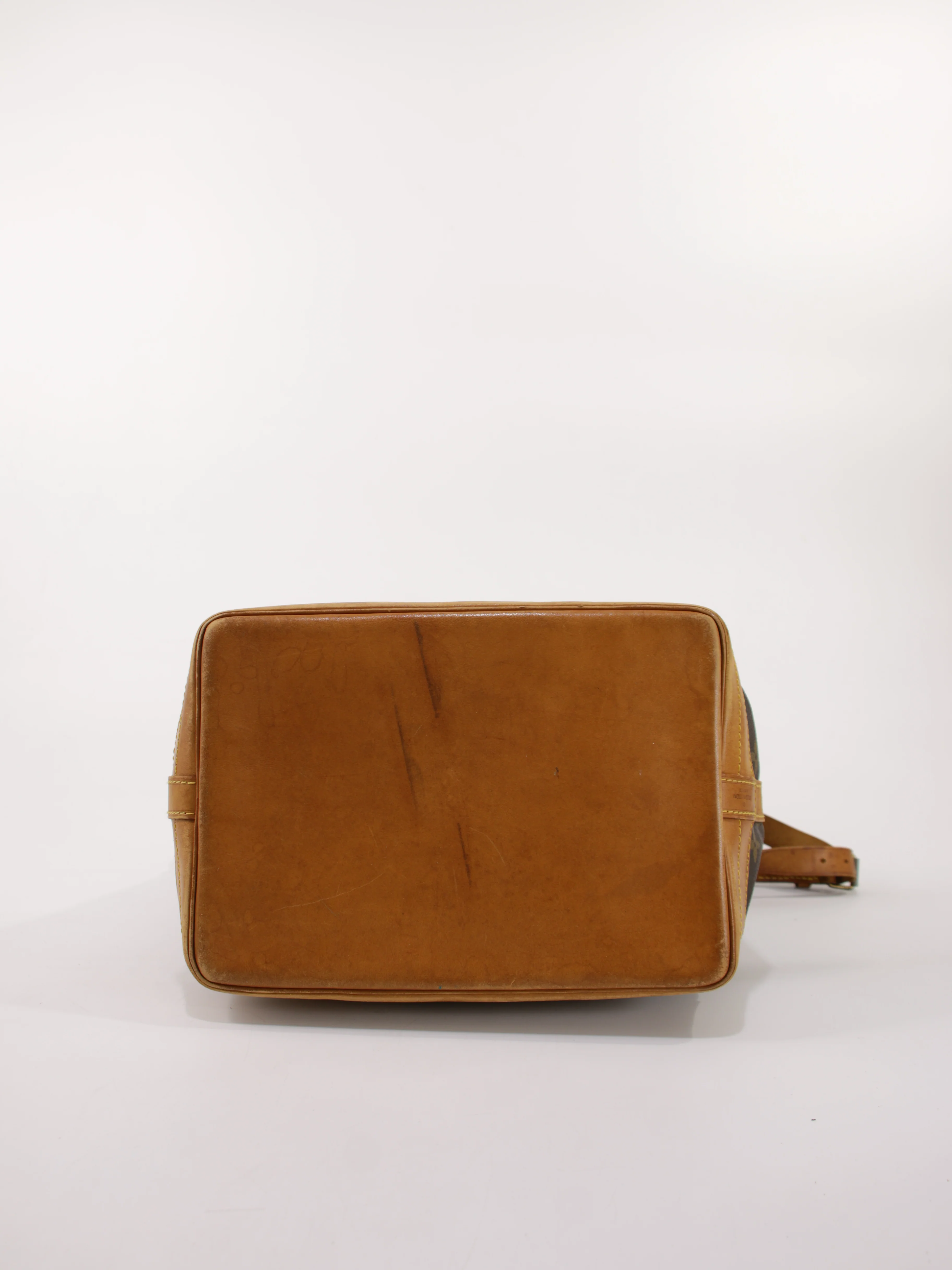 Noé - Image 6