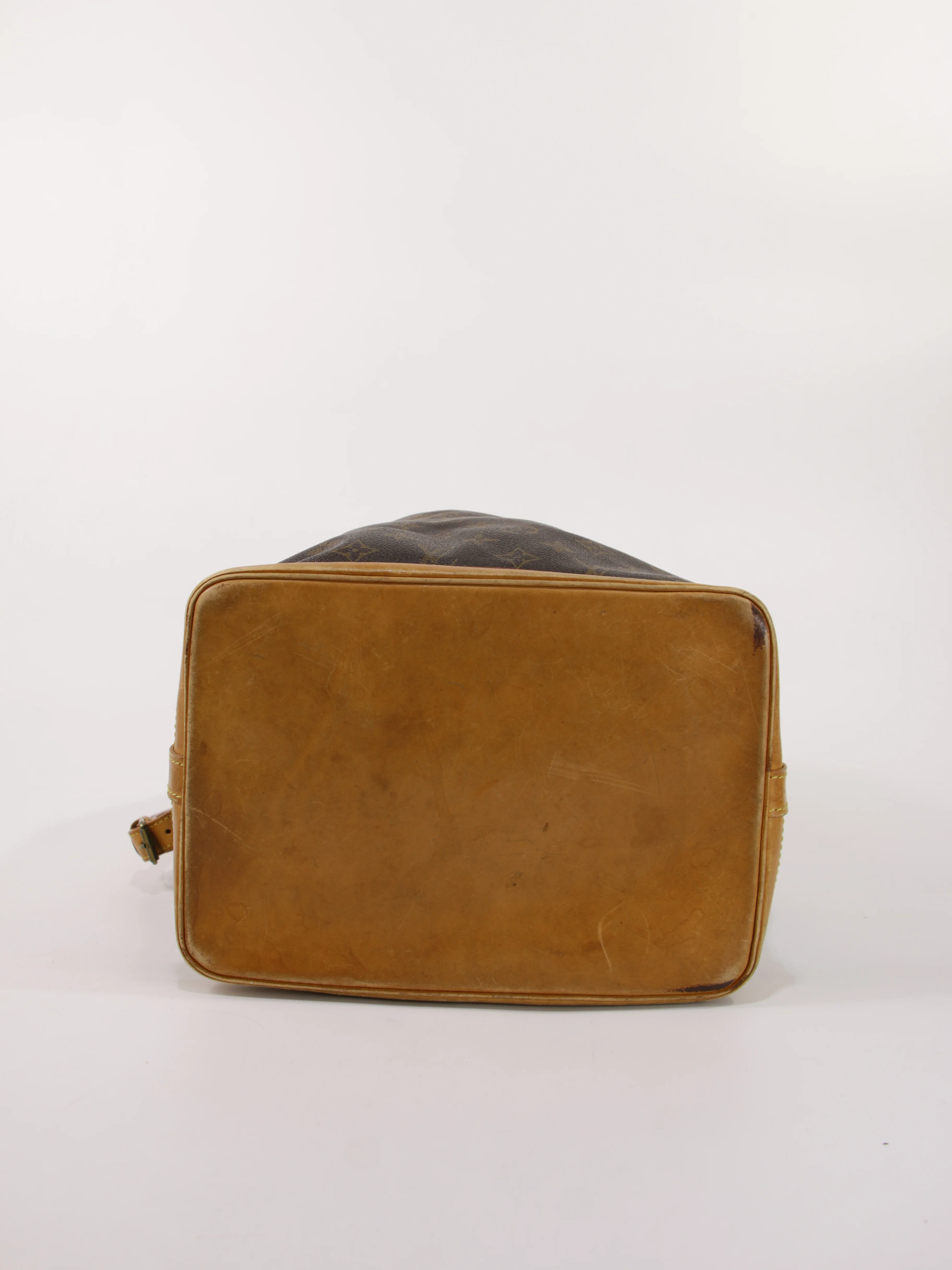 Noé - Image 8