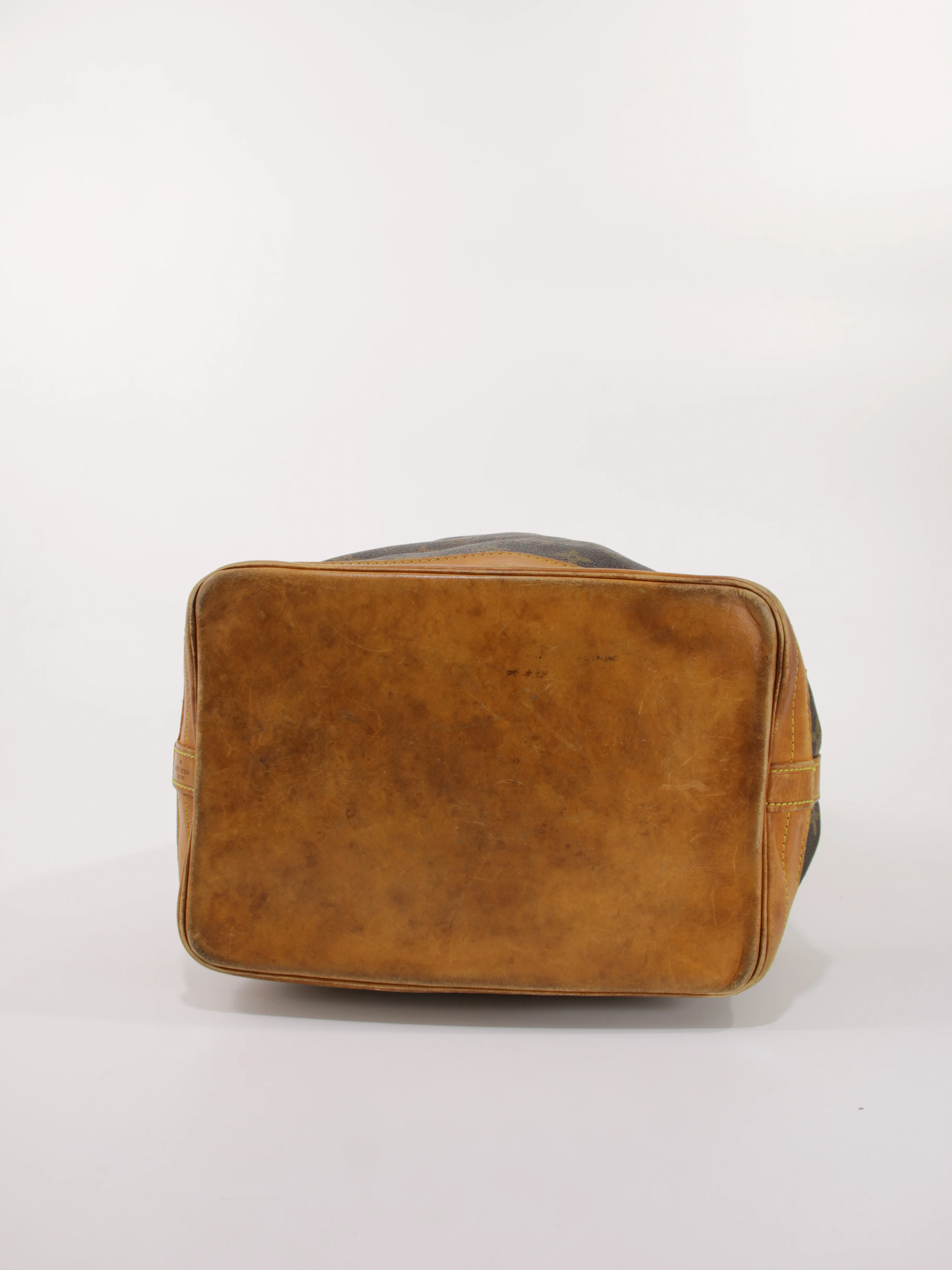 Noé - Image 11