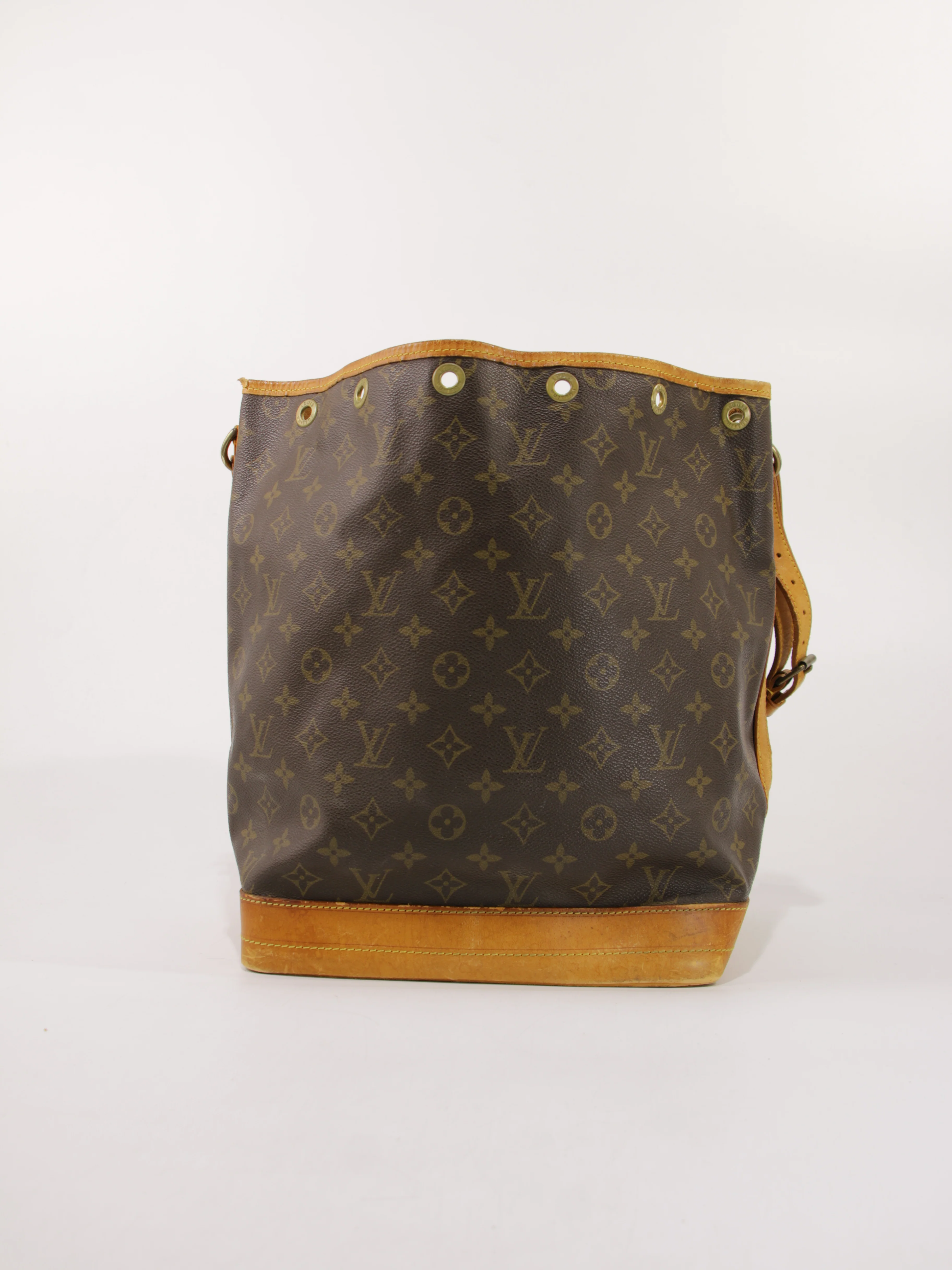 Noé - Image 4