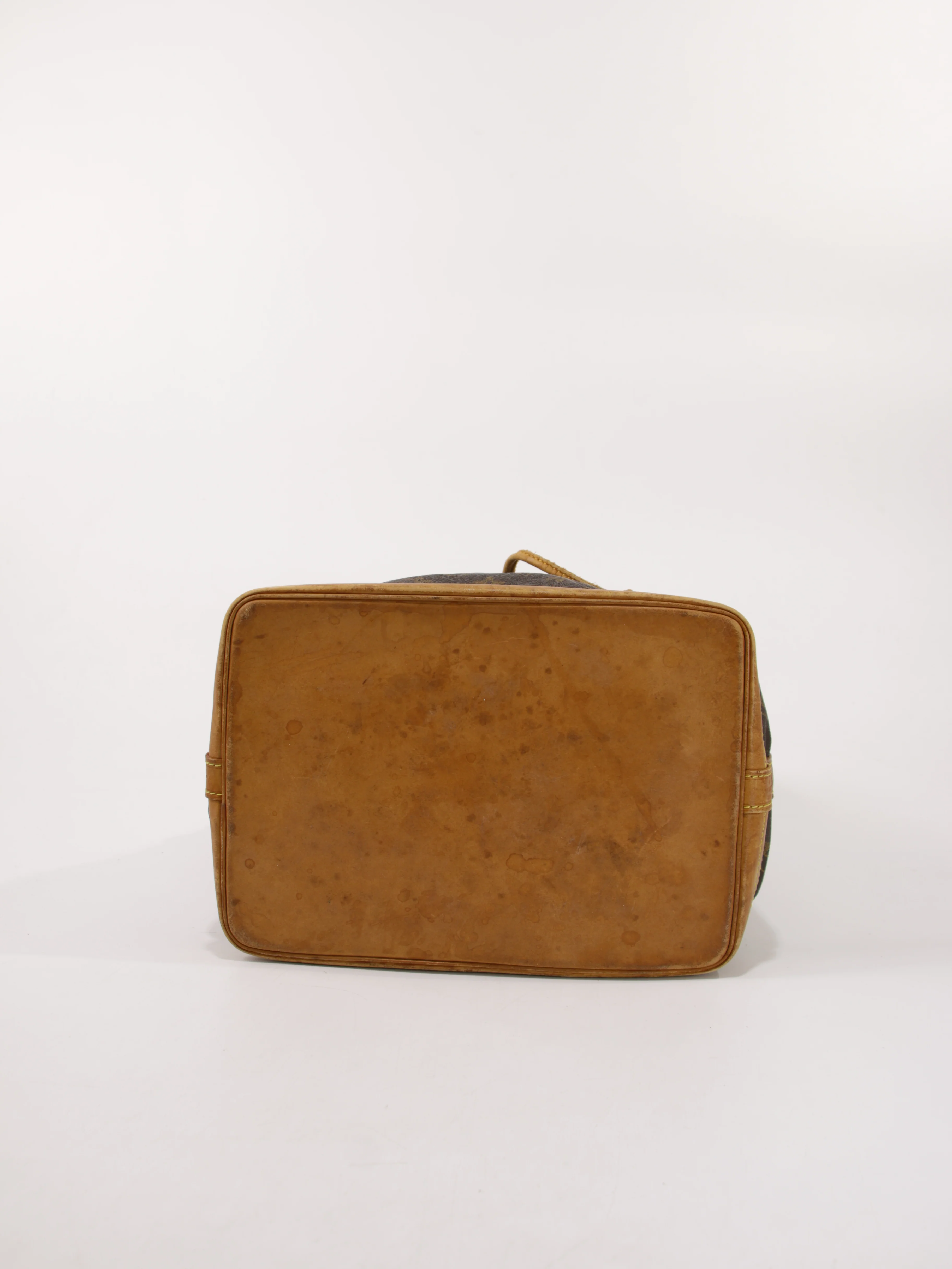 Noé - Image 6