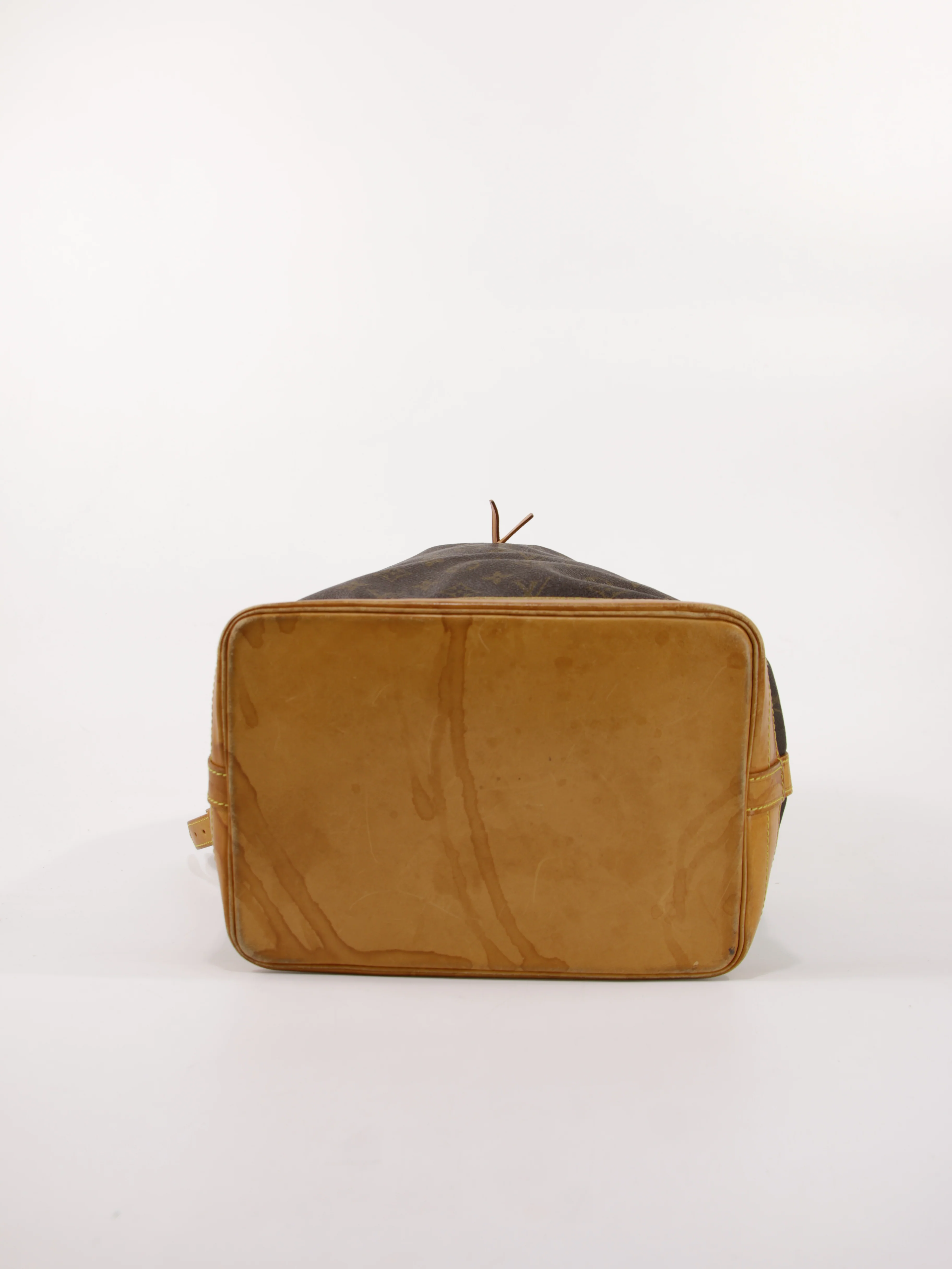 Noé - Image 7