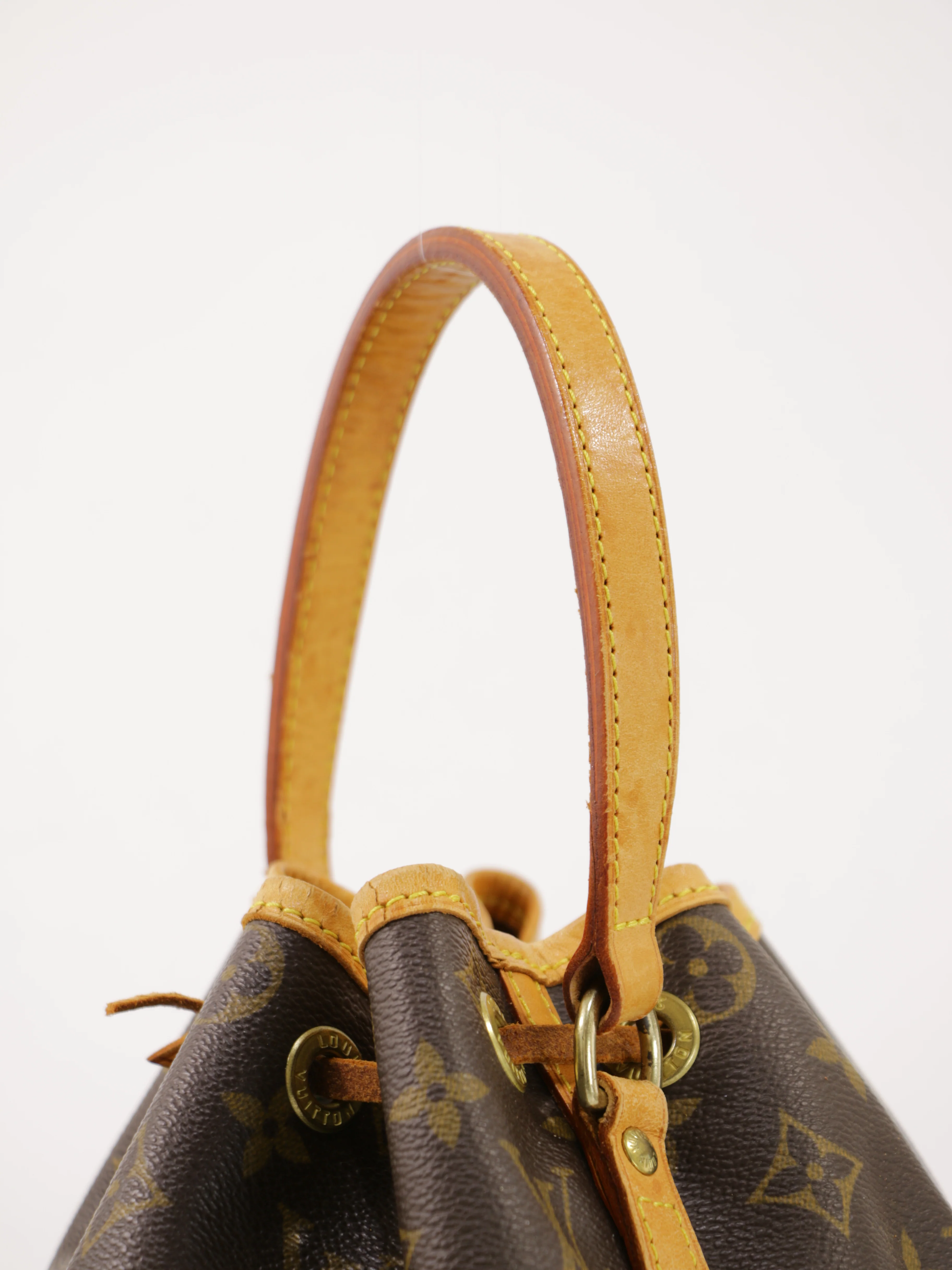 Noé BB - Image 6