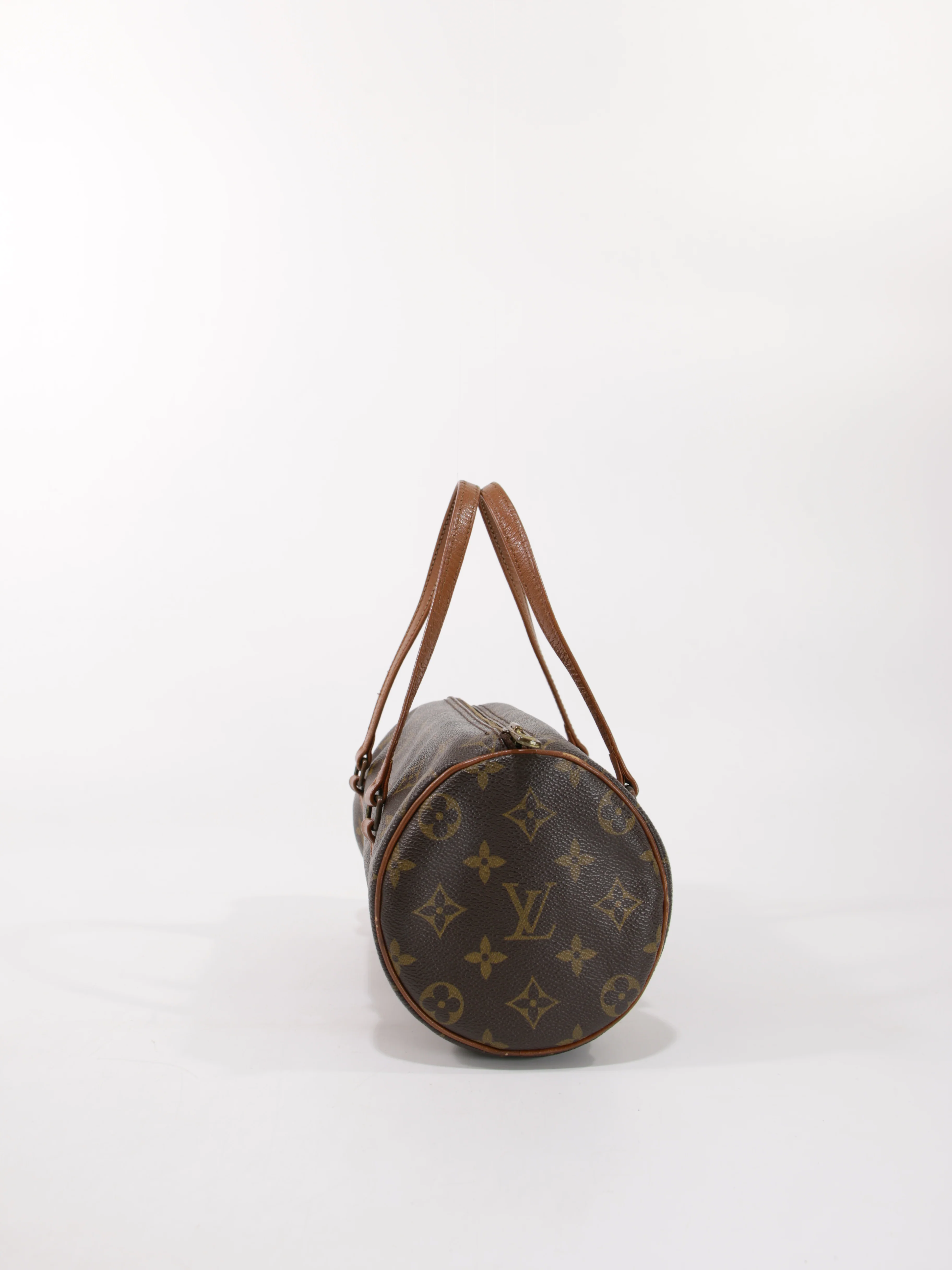 Papillon 26 - Image 6