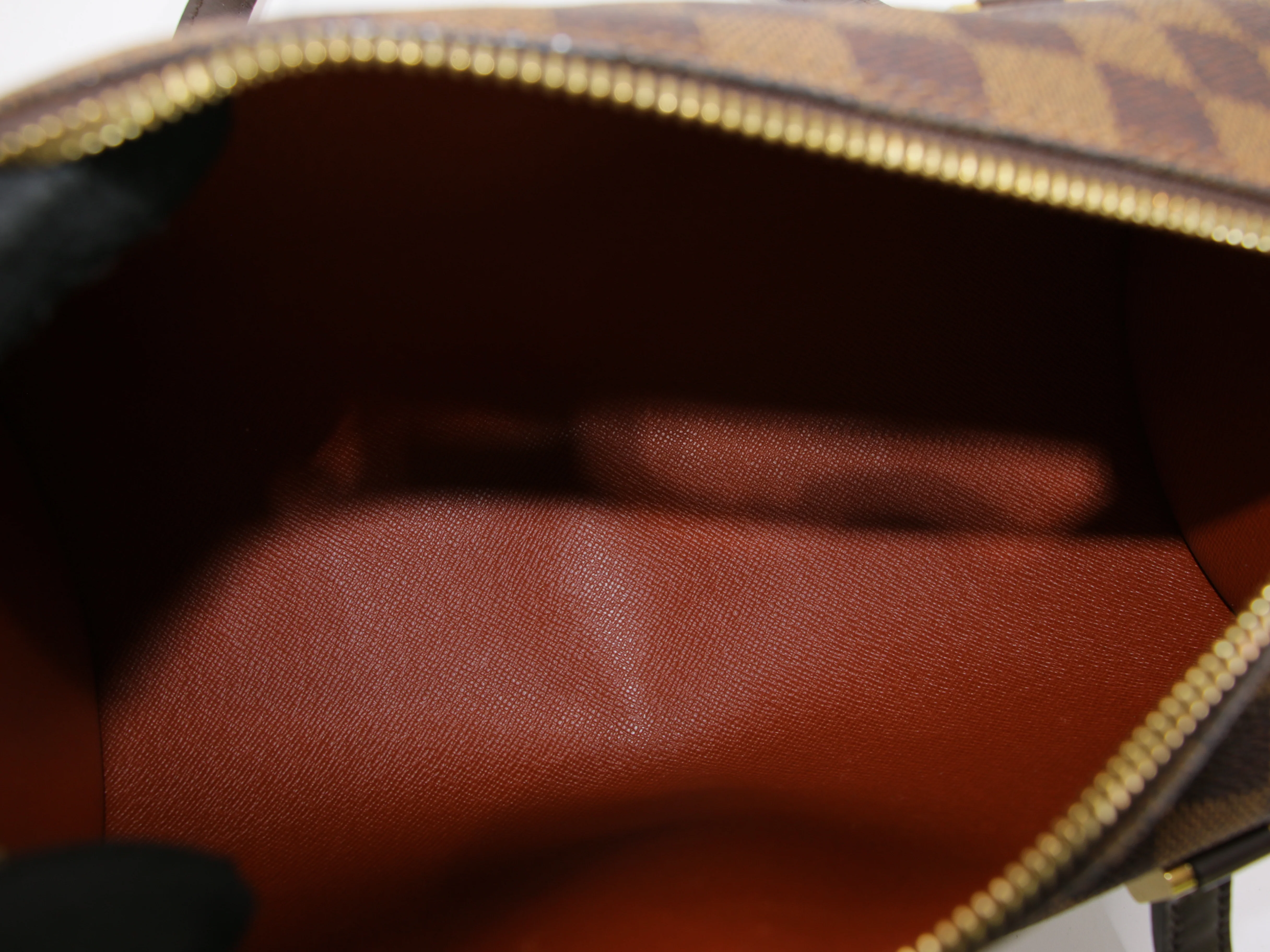 Papillon 26 - Image 6