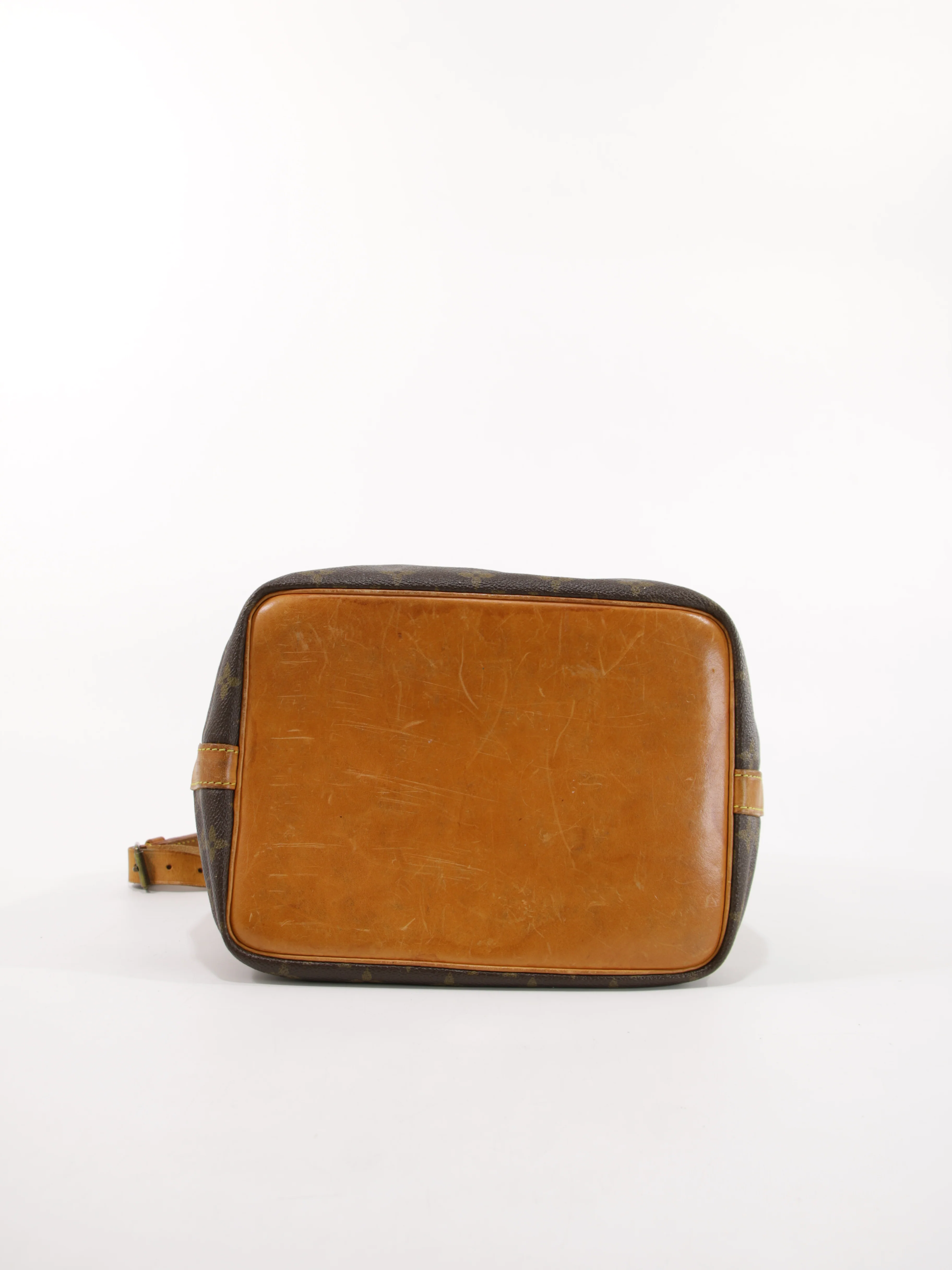 Petit Noé - Image 8